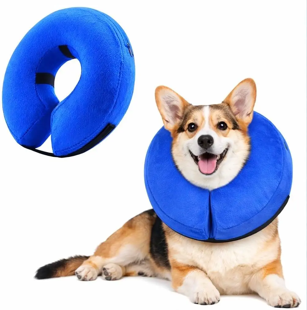 Collarín inflable de recuperación para perros – Alternativa al cono postcirugía - imagen 2