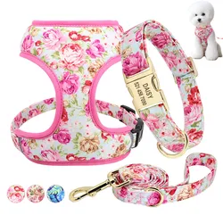 Collar de nailon estampado para perro – Cómodo y resistente