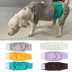 Pañales fisiológicos para perros pequeños y medianos – Anti escapes
