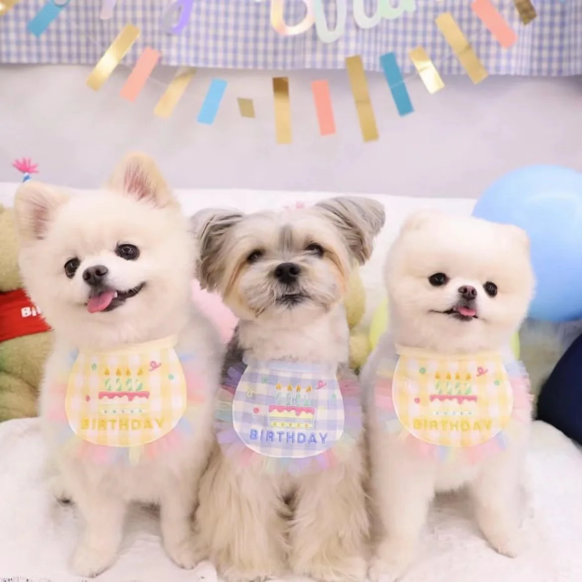 Babero bordado de cumpleaños para perro, gato y perro Toalla de Saliva para, bufanda triangular de encaje, productos para mascotas, accesorios para cachorros - imagen 4