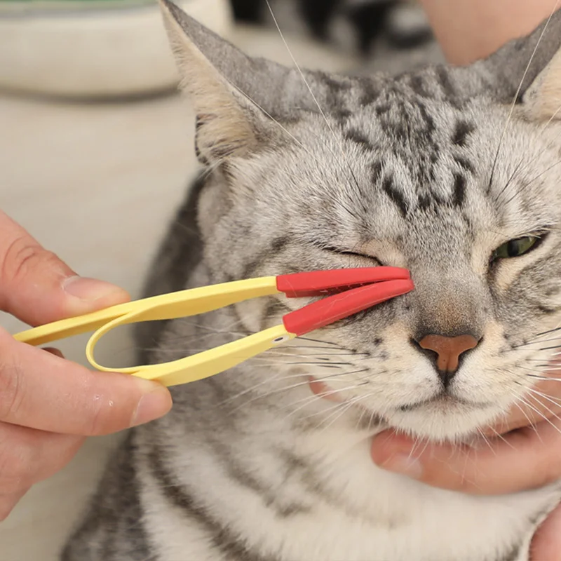 Cepillo de rasgo de silicona suave para perros y gatos, peine para limpieza de ojos de mascotas, cepillo para marcas de rasgado, Herramientas de limpieza para mascotas, accesorios para gatos - imagen 3