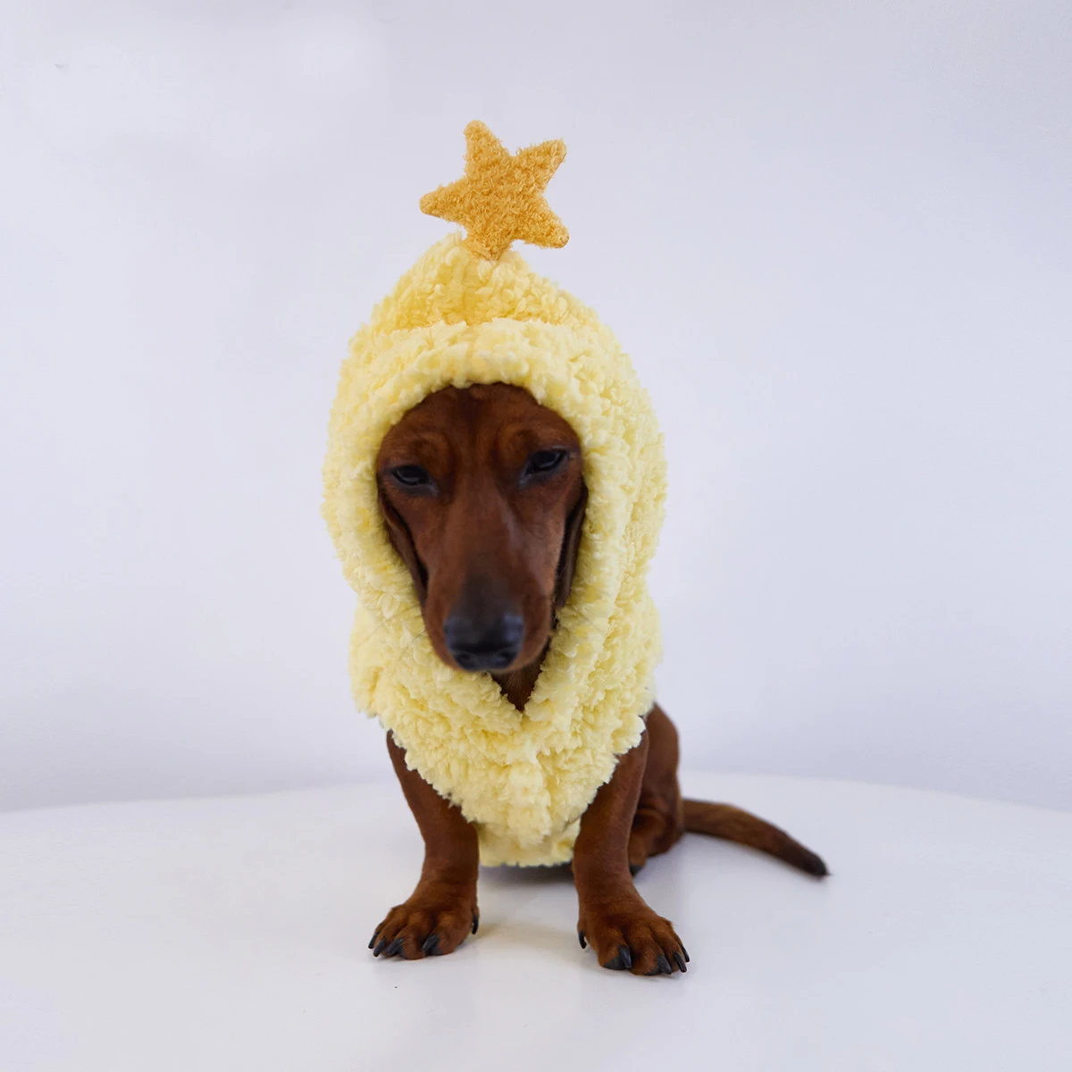 Suéter polar con capucha estrella para dachshund - imagen 2
