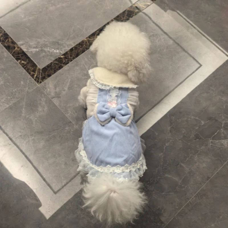 Ropa para perros Otoño e Invierno vestido grueso de princesa para gatos lazo de encaje suministros para mascotas de peluche para perros pequeños - imagen 5