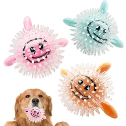 Bola interactiva de felpa y goma para perros – Resistente y divertida
