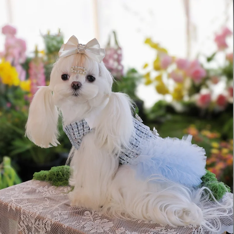 Vestido de encaje para perros, vestido formal para mascotas, vestido de noche para perros, Falda plisada para mascotas, vestido de fiesta de cumpleaños y vestido de vacaciones, ropa para mascotas