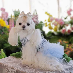 Vestido de encaje con falda plisada para perros – Ideal para fiestas
