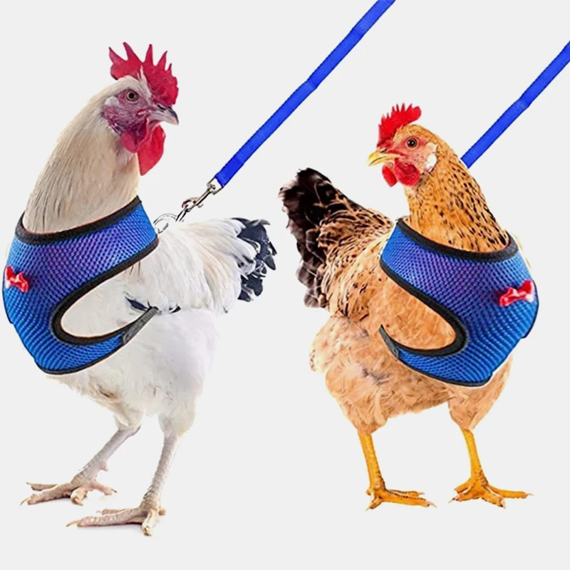 Arnés ajustable con correa para pollo, chaleco cómodo y transpirable de tamaño pequeño para mascota, pollo, pato, Ganso, entrenamiento para caminar - imagen 2