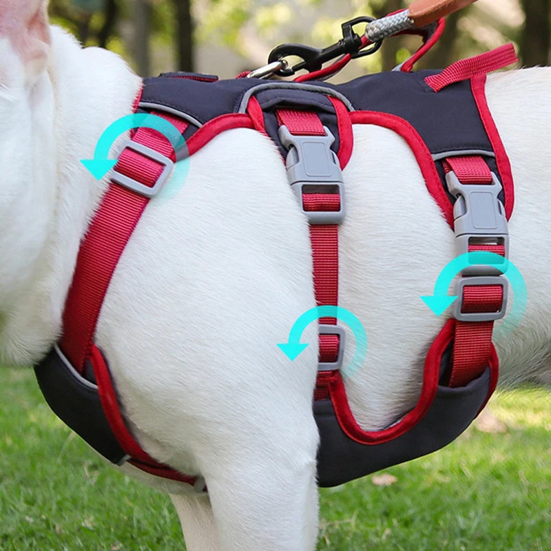 Arnés para perros, chaleco ajustable sin tirones, correa para el pecho, correa de plomo de seguridad reflectante para perros pequeños, medianos y grandes, accesorios para mascotas - imagen 3
