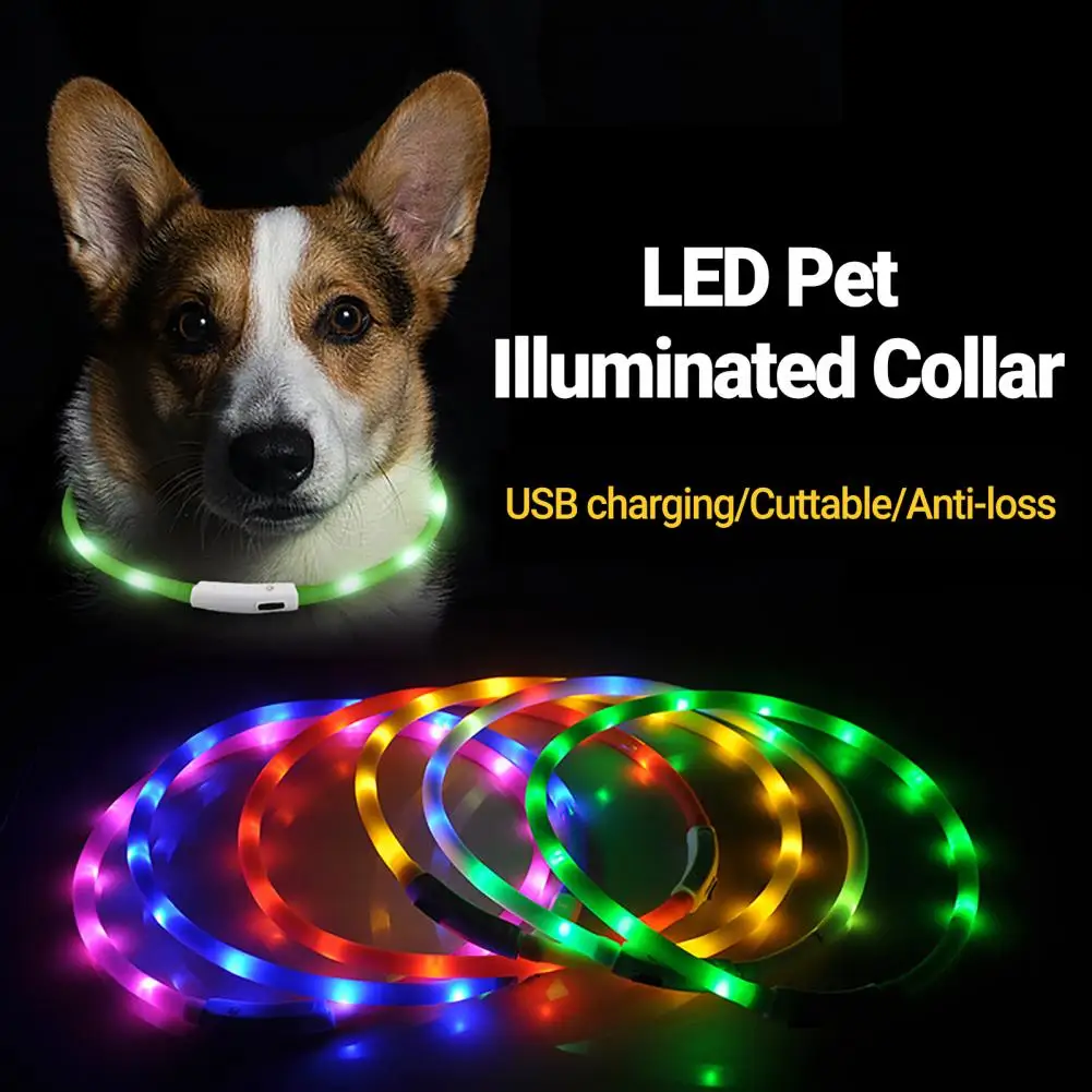 Collar LED luminoso y cómodo para perro, prevención de pérdida, Collar luminoso - imagen 2