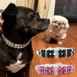Collar y correa ajustable para perros pequeños Yorkshire Maltese Pug