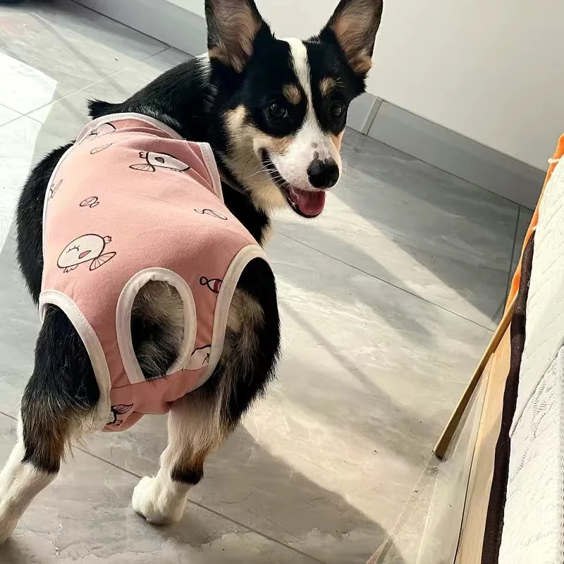 Ropa para perros pequeños, pantalones cortos suaves 100% de algodón para mascotas con correa, ropa interior ajustable para perros, traje para uso doméstico, pañales para perros - imagen 5