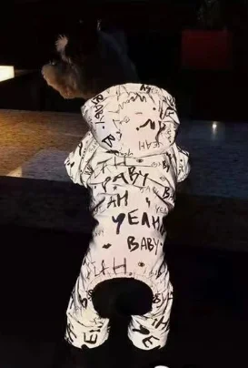 Mono reflectante para Schnauzer - Traje de invierno para perros - imagen 4