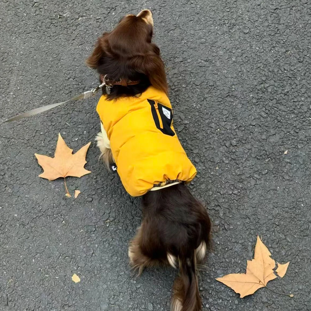 Chaqueta forro polar cortavientos con botones perro Dachshund - imagen 2