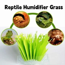 Humidificador para terrario de reptiles y tortugas – Sin electricidad