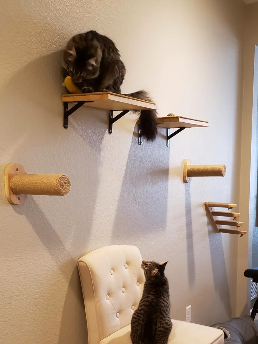 Estantes de madera para árbol de gato montados en la pared, postes rascadores, torre para gatos trepadora, hamaca con perchas flotantes sólidas, escalones y escalera - imagen 2