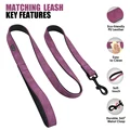Purple Leash