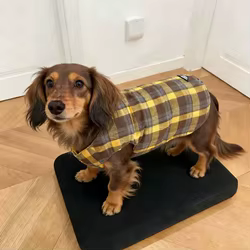 Chaqueta de forro polar para perros Dachshund – Abrigo de invierno