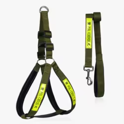 Juego de arnes y correa ajustables para perros con acolchado - nylon