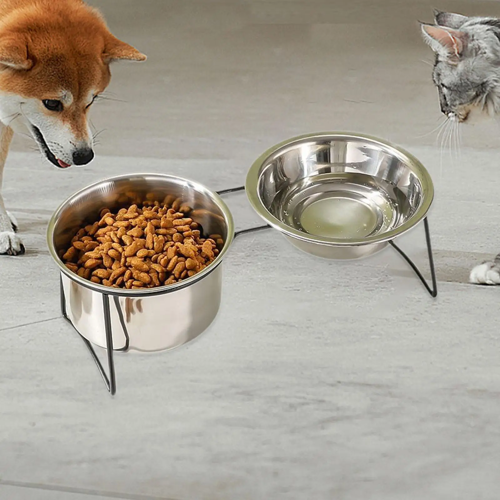 Cat Water and Food Bowl Feeder Feeder Station Feeding Dish for Kitten Kitty