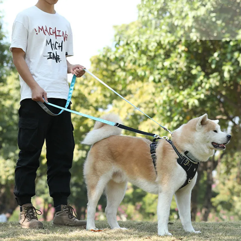 Correa nailon doble para perros de 2.5m - vista completa