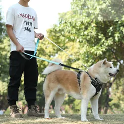 Correa nailon doble para perro - Resistente para paseo