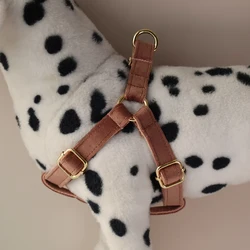 Correas para perros pequeños y medianos con cuerda y franela