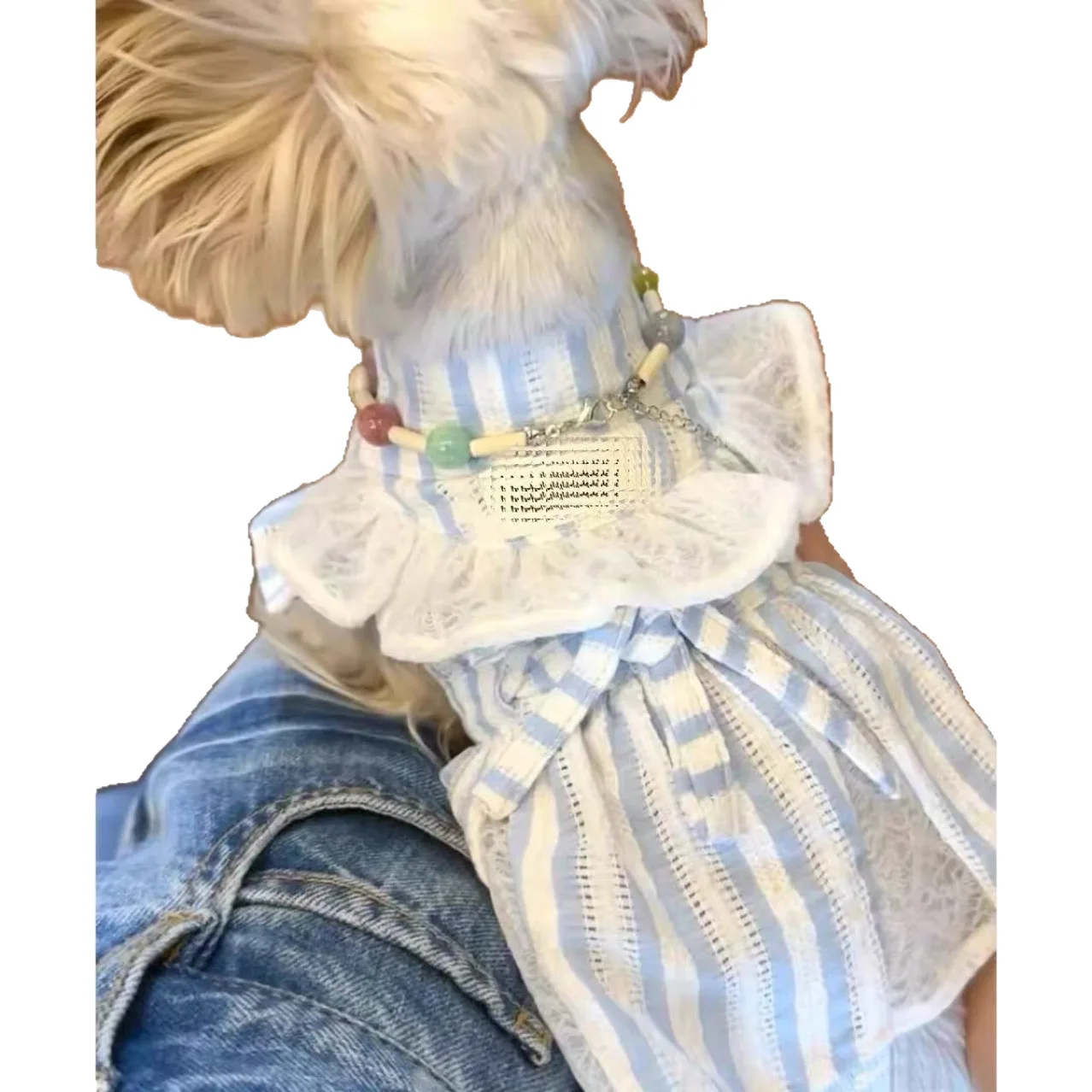 Vestido princesa de burbuja para perros mini y cachorros - imagen 4
