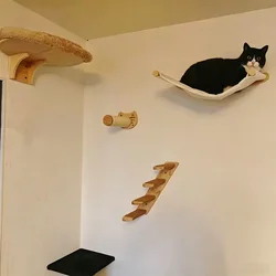 Rascador pared para gatos pequeños con hamaca y torre de escalada