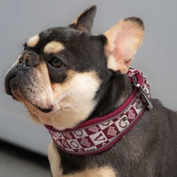 Collar moda reflectante para perros grandes: bulldog francés y pug