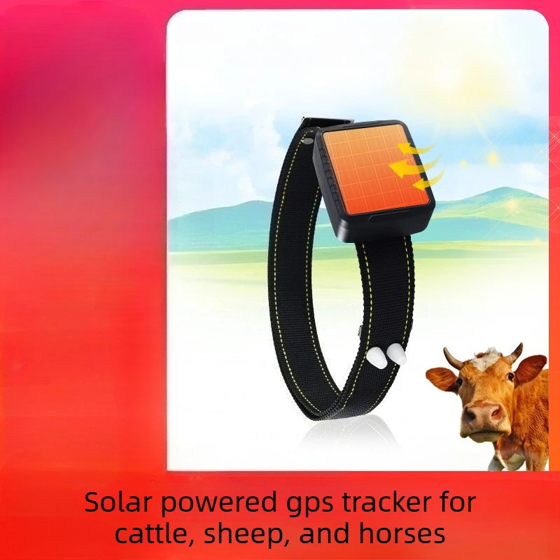 Rastreador GPS Solar 4G para ganado vacuno – Antirrobo y pastoreo - imagen 2