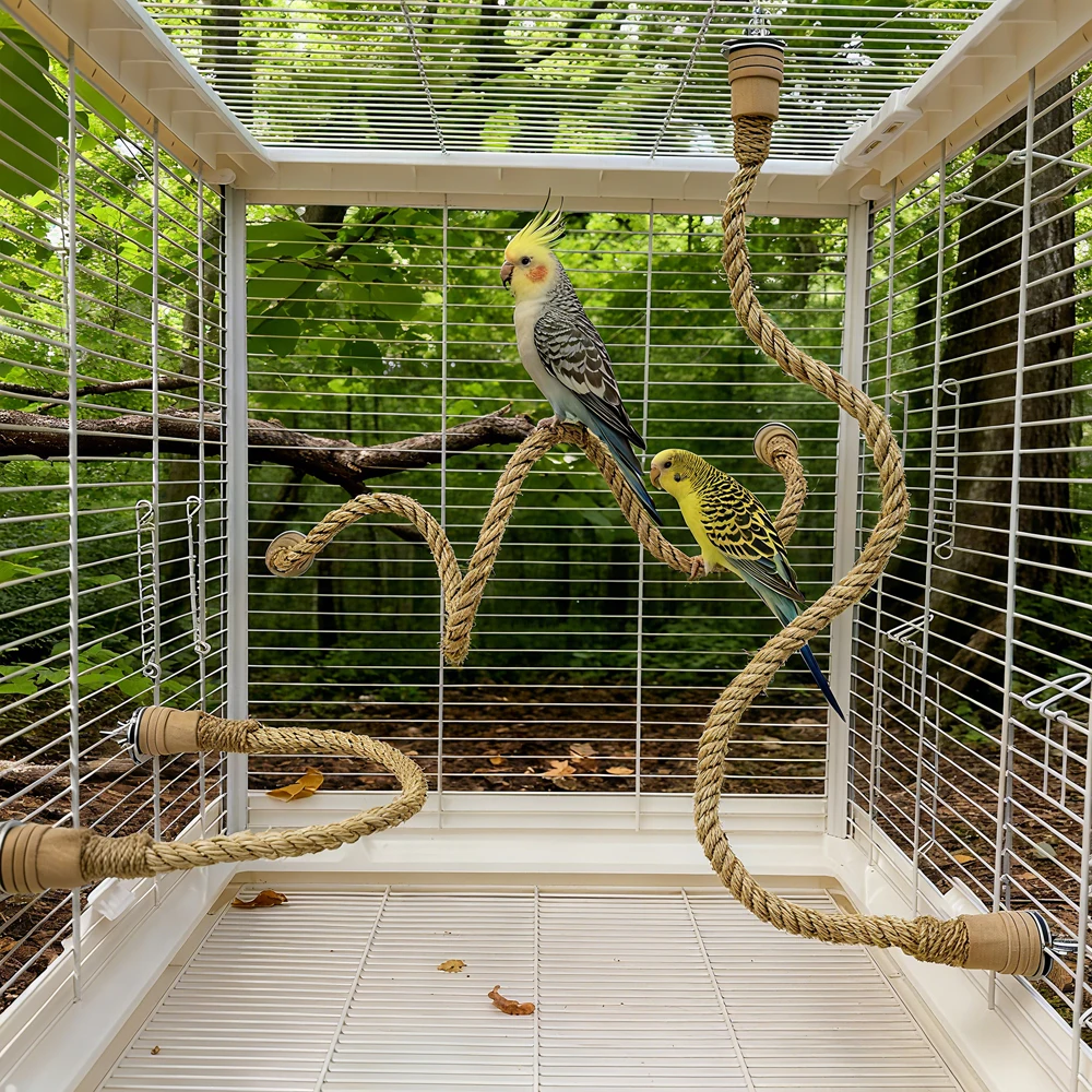 Cuerda de escalada para aves: entretenimiento de loros domésticos