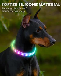 Collar LED recargable para perros – Luz nocturna seguridad
