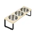 Cat Bowl6