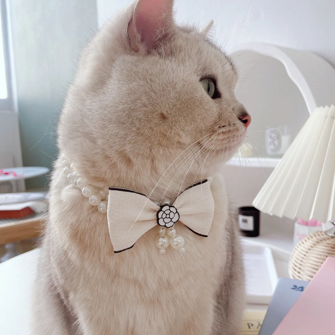 Collar de perlas de doble capa con lazo para mascotas, Collar de cuentas para perros y gatos, Collar de cadena para el cuello, accesorios para perros pequeños, accesorios para cachorros - imagen 4