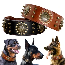 Collar de cuero con tachuelas para Pitbull – Perros grandes