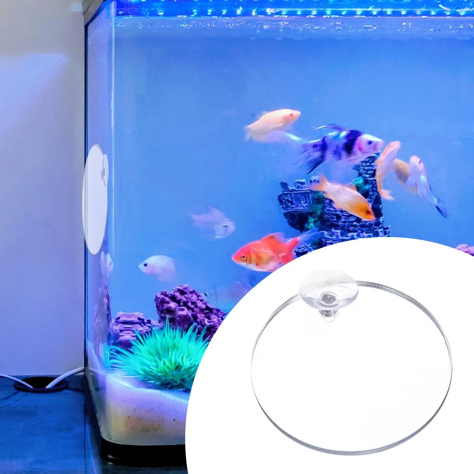 Fish Training Acrylic Mirror for Fish Tank, Sturdy, Decorative,Practical,Round,Fish Exercise Mirror,Betta Fitness Mirror, Fish Training Acrylic Mirror for Fish Tank, Sturdy, Decorative,Practical,Round,Fish Exercise Mirror,Betta Fitness Mirror,