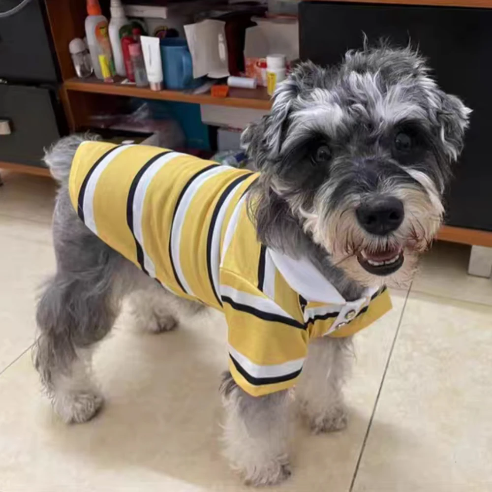 Polo de rayas clásicas para mascotas, ropa para perros y gatos pequeños, Schnauzer, Yorkshire, cachorro, primavera y verano - imagen 5