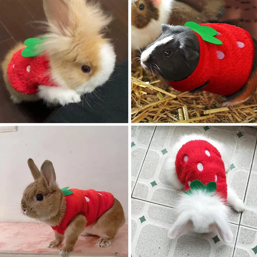 Chaleco arnés con forma de fruta para gatos y mascotas pequeñas - imagen 5