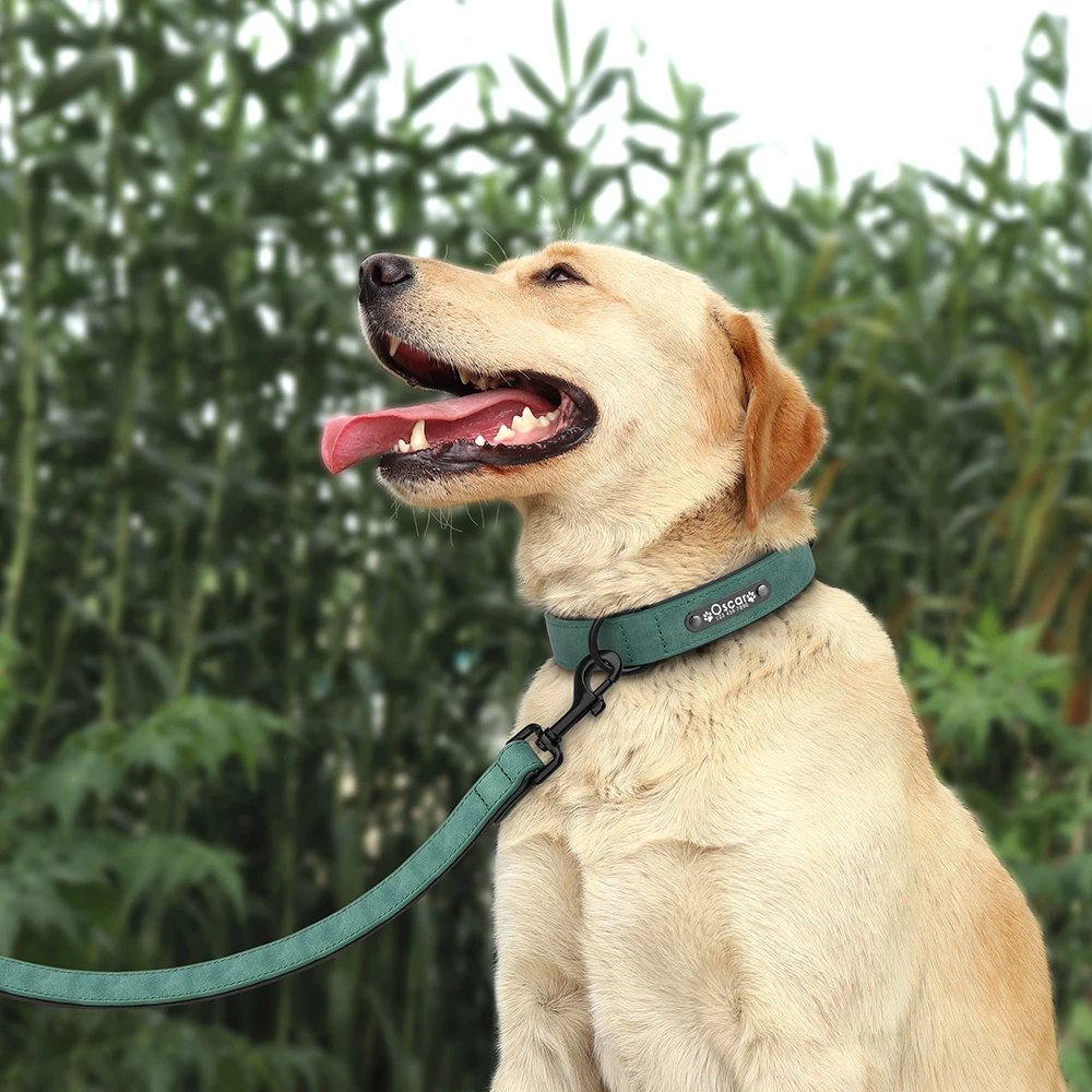 Collar y correa de cuero personalizados para perros – Resistente y elegante - imagen 5