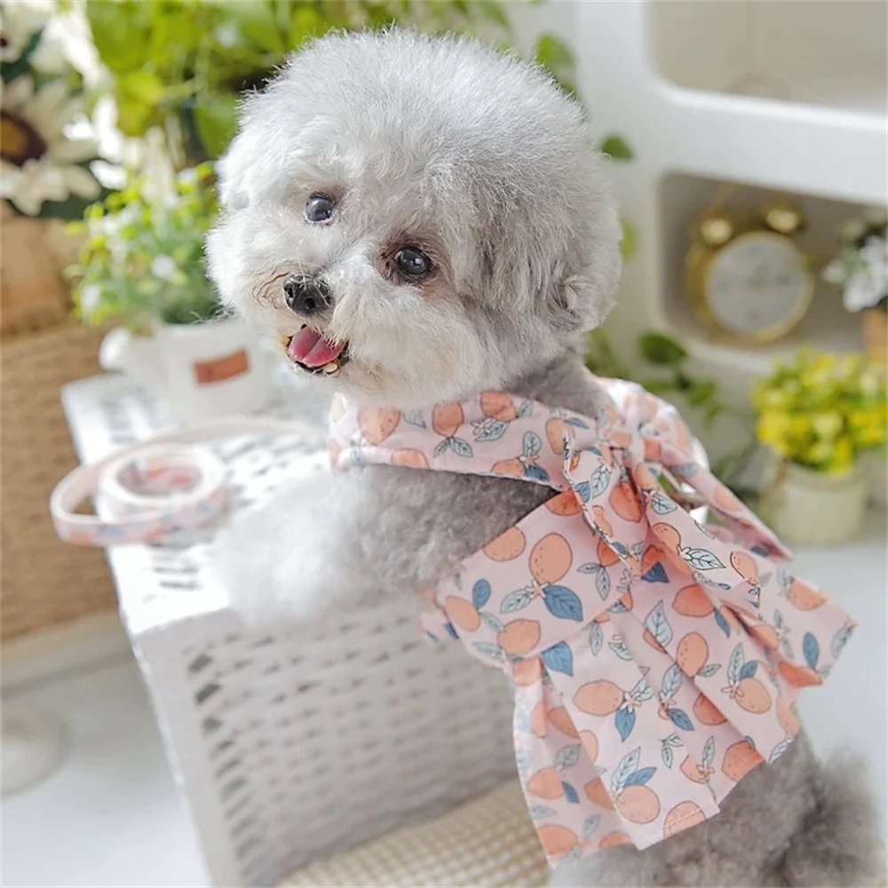 Conjuntos de arnés y correa para perros con estampado dulce, arneses para mascotas a la moda, vestido para perros pequeños, accesorios para mascotas de Pomerania y caniche - imagen 3