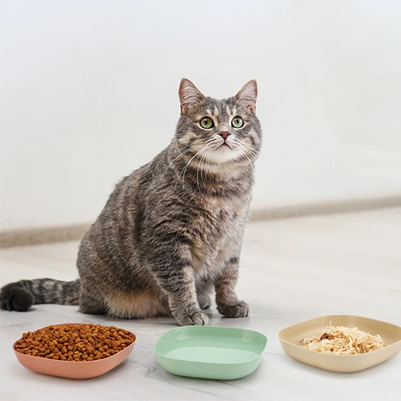 Juego de cuencos de plástico antideslizantes para gatos, platos de agua y comida poco profunda para mascotas, adecuados para gatitos, piernas cortas, hurones, gatos callejeros, 3/10/20 piezas - imagen 4