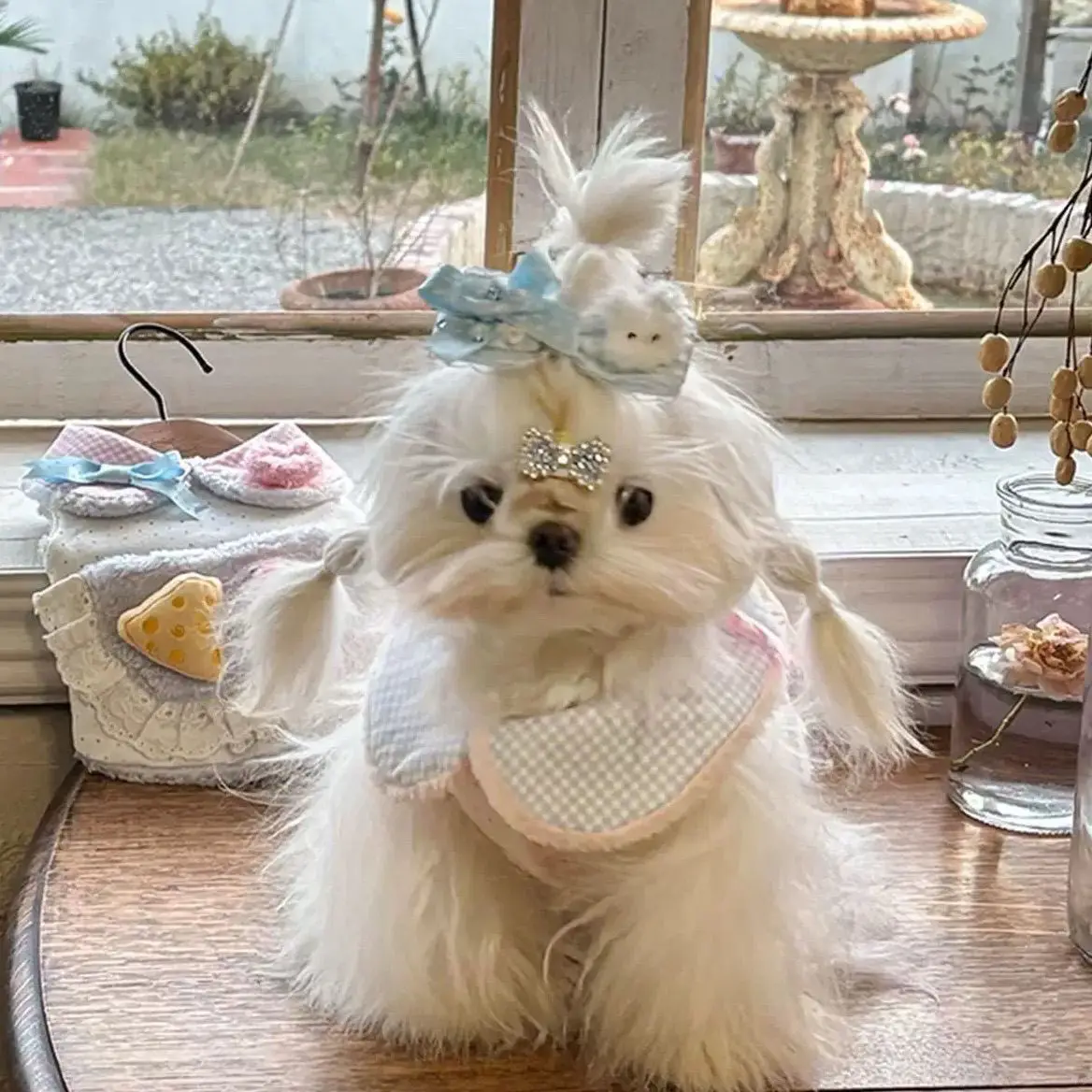 Vestido de bolsillo de felpa para otoño/invierno para mascotas, chaleco de peluche, chaleco bonito, ropa para mascotas, vestidos para perros pequeños, ropa para cachorros - imagen 4