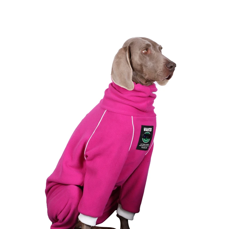 Ropa de moda para perros y niñas, mono grande para perros, Labrador, Golden Retriever, Dobermann, primavera e invierno - imagen 4