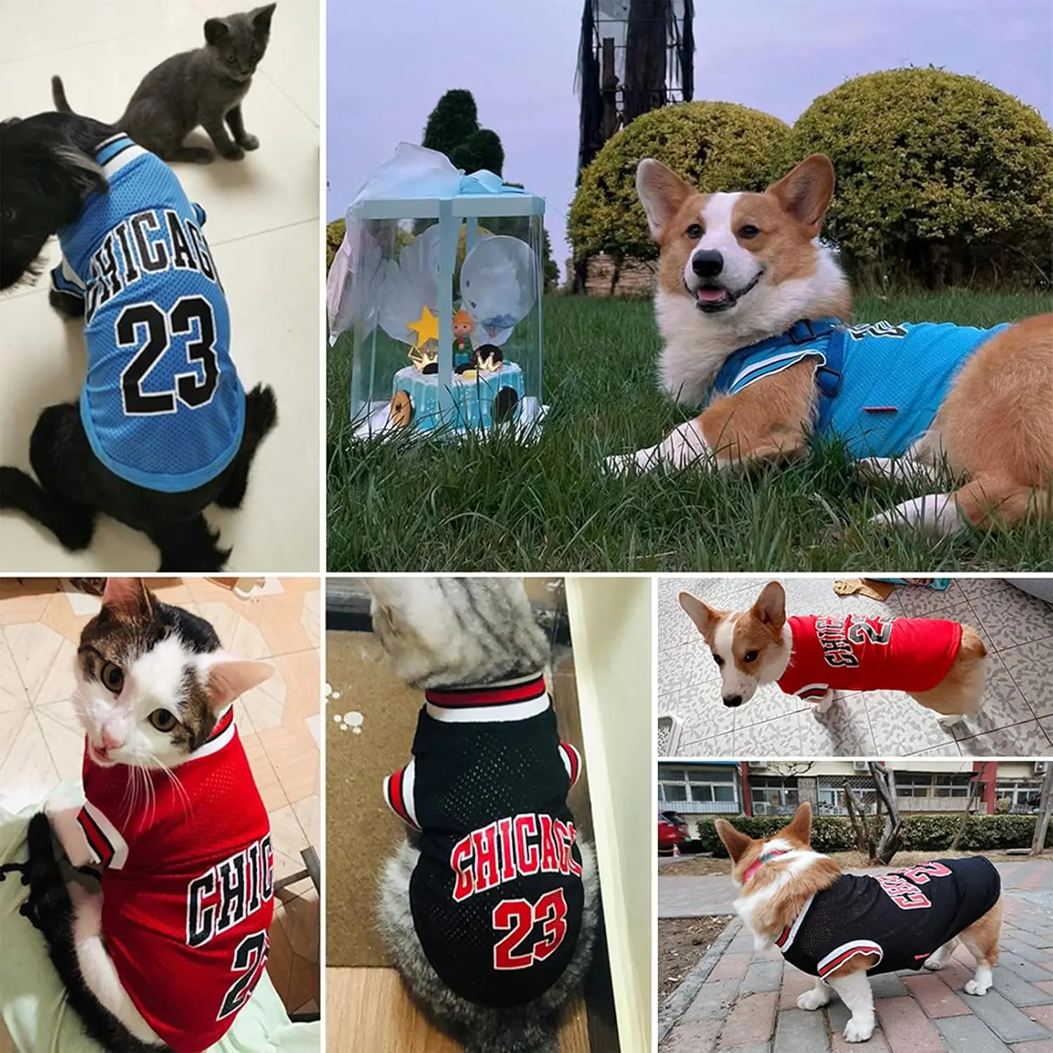 Camiseta de baloncesto para perros, chaleco para mascotas, ropa para cachorros, ropa para primavera y verano, camiseta de malla transpirable para perros grandes, medianos y pequeños - imagen 4