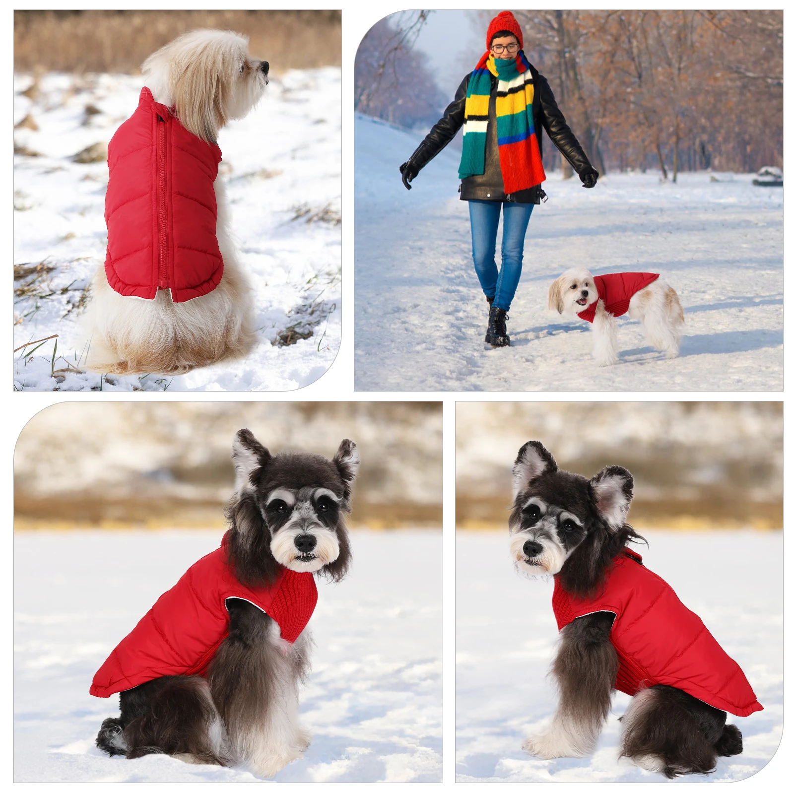 Ropa a prueba de viento para perros pequeños, abrigo cálido de invierno para mascotas, chaqueta acolchada, traje para cachorros, chaleco, Yorkie, Chihuahua - imagen 5