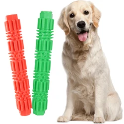 Accesorios y juguetes personalizados para perros y gatos en casa