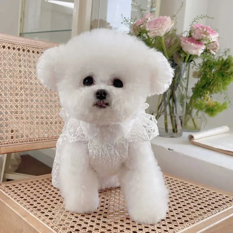 Ropa de verano para perros de encaje a la moda Ins, vestido de novia con lazo, vestido de encaje, ropa para perros Bichon de peluche, vestido hawaiano para perros, ropa bonita para cachorros - imagen 2