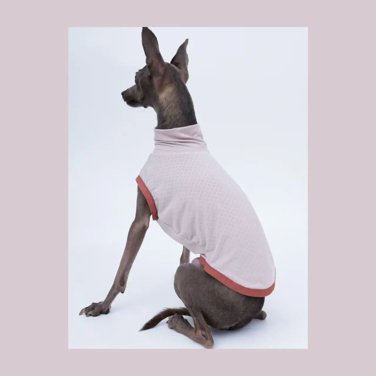 Ropa de galgo italiano, chaleco para perro de sensación fresca de verano, ultrasuave, transpirable, ligero, de alta elasticidad, deportivo para perros - imagen 2