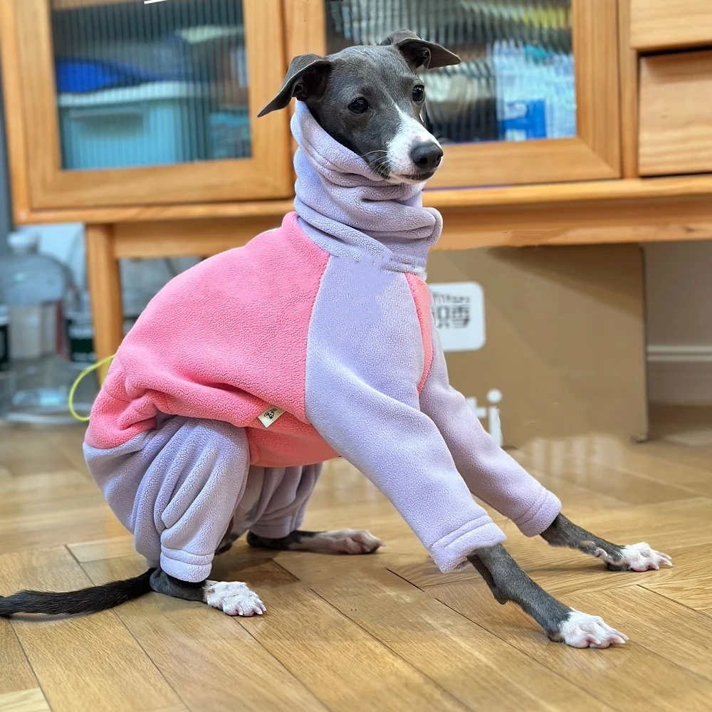 Sudadera cálida de lana púrpura y rosa para perros medianos, abrigo de invierno suave de 4 patas con cuello alto a prueba de viento para Italia Little Greyhound - imagen 3