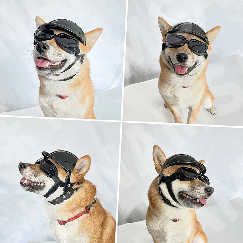 Juego de gafas deportivas para perros pequeños, protección UV, gafas para perros, casco para motocicleta con orificios para las orejas para ciclismo al aire libre - imagen 5
